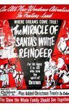 The Miracle of the White Reindeer