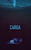 Carga