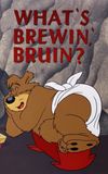 What's Brewin', Bruin?