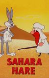 Sahara Hare