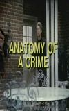 Anatomy of a Crime