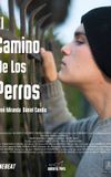 El Camino De Los Perros