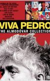 Deconstructing Almodóvar