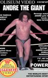 Andre the Giant