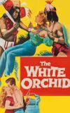 The White Orchid