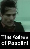 The Ashes of Pasolini