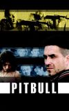 Pitbull