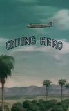 Ceiling Hero