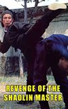 Revenge of a Shaolin Master