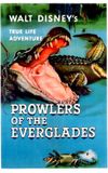 Prowlers of the Everglades