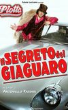 Il segreto del giaguaro