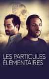 Les particules élémentaires