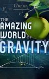 The Amazing World of Gravity