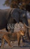 Ultimate Enemies: Revealed