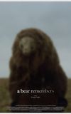 A Bear Remembers