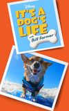 It's a Dog's Life with Bill Farmer