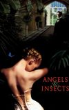 Angels and Insects