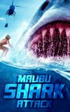 Malibu Shark Attack