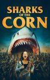 Sharks of the Corn