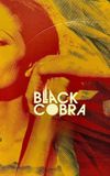 Black Cobra