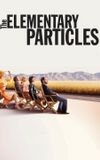 The Elementary Particles