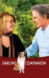 Darling Companion