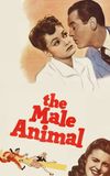 The Male Animal