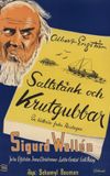 Saltstänk och krutgubbar