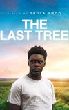 The Last Tree