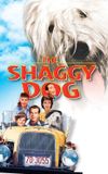 The Shaggy Dog