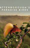 Attenborough's Paradise Birds