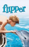 Flipper