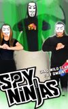 Spy Ninjas: The End