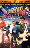 Buckaroo Banzai Declassified