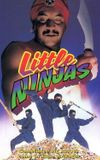 Little Ninjas