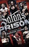 WWE: Satan's Prison - The Anthology of the Elimination Chamber