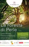 La foresta di perle