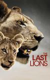 The Last Lions