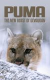 Cougar: On the Trail of the Ghost Cat