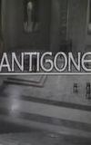 Theban Plays: Antigone