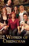 12 Wishes of Christmas