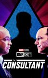 Marvel One-Shot: The Consultant