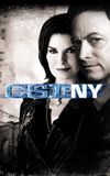 CSI: NY