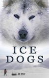 Ice Dogs: The Only Companions Worth Having