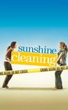 Sunshine Cleaning