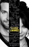 Silver Linings Playbook