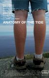 Anatomy of the Tide