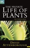 The Private Life of Plants