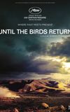 Until The Birds Return