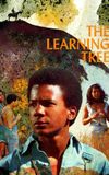 The Learning Tree